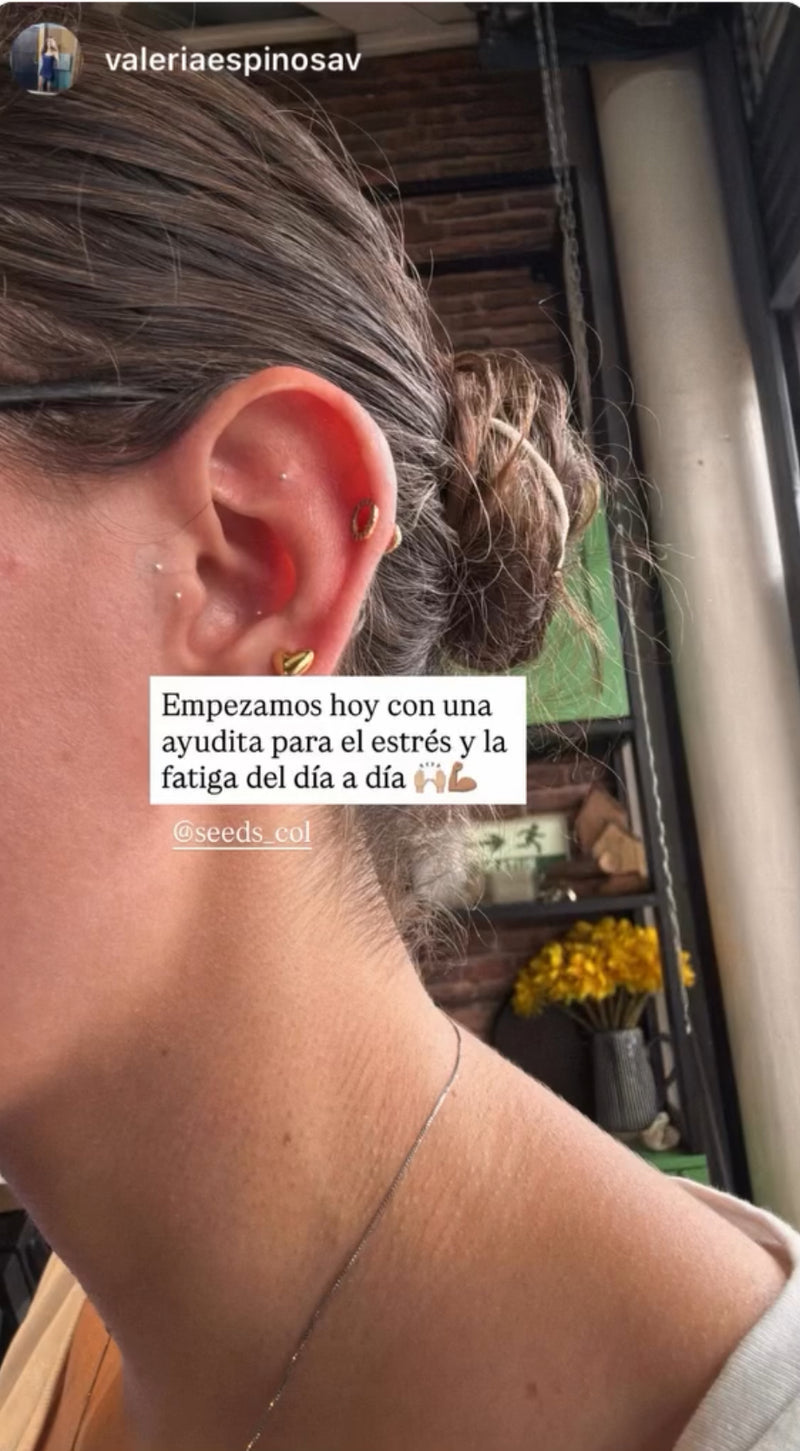 Mariana S.